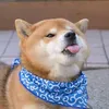 ihavenobusinesshere