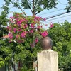 thanhdat07090