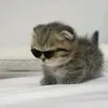 tnuww