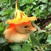 dili.chan_uwu.t0n
