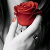 user6184614534459