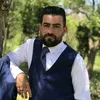 user435762037