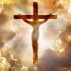 jesusis_the_best