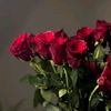 6awesha_a