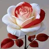 lovemstfa1