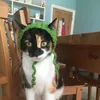 esmepaul