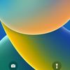 mohmed_488