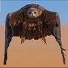 mohamed__2030