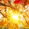 autumnsperspective