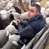 razbogflo