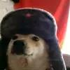 rincenox_