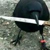 nothotbirdthot