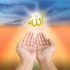 user1136021907272