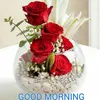 user17yxbcg584
