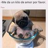 josemomito1