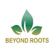 beyondrootshaircare
