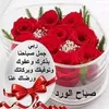 sanan123as