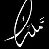 sa55al2
