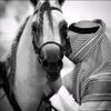 abo_khalid98