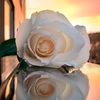 hichem.dz16