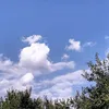 abdalmojodaltaee