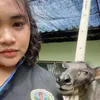 film_pawinee