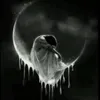silentdeath1234
