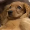 krayjd