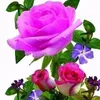 user5hnfpqtki4