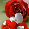 yasmineyasmine019