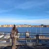 lmsb003