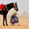 ♕•          شاهين