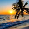 queen_fatima721