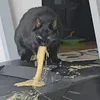 TuFFng