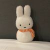 miffy_lover6186