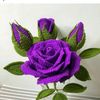 ana_diaz700