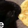 casp3rnz