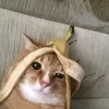 j_hthne