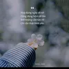 hoanguyen8779