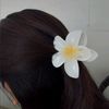 chinta_.simamora