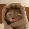 itsmyanyan4