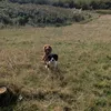 aceweymouth