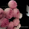lananh12315