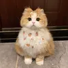 alicelovesmewmew