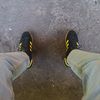 _pannn29