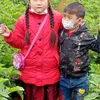 iu không chốt nha