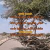 samti_bouh