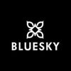 bluesky.cosmetics