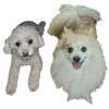 sopas_ispesyal