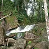 nhuyyou